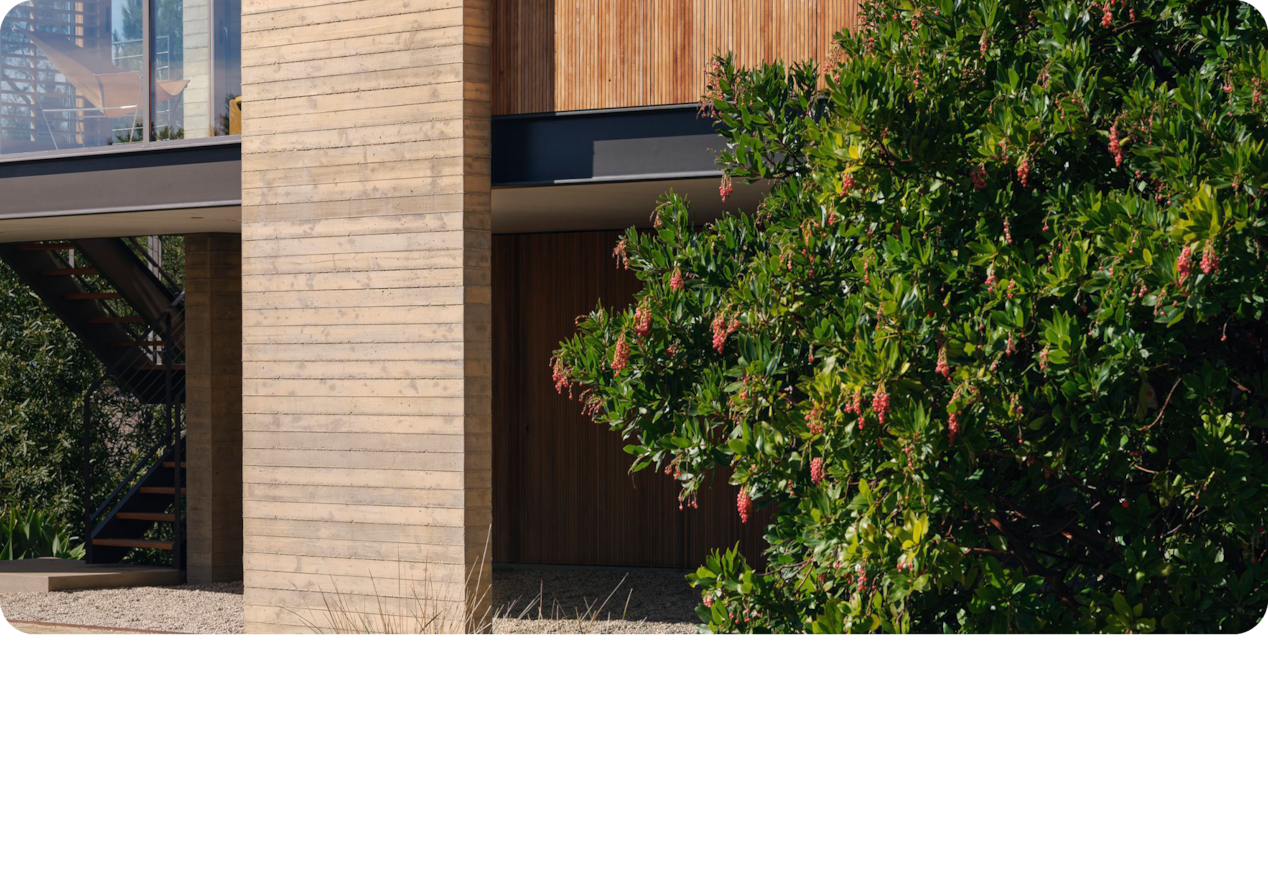 A Landscape View of a Modern Building Next to a Tree with Hanging Flowers