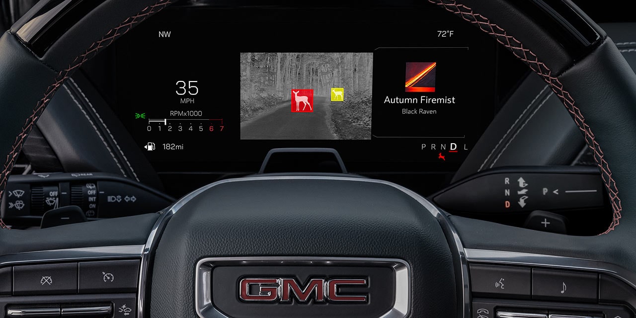 The Night Vision Displayed on the Drivers Infotainment System
