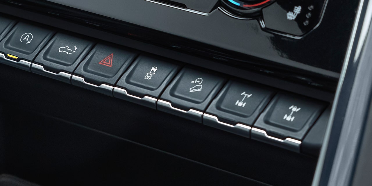 Close-up of the Hill Descent Controls